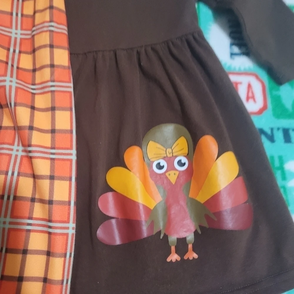 AaLizzWell Little Girl Thanksgiving outfit Size 2T